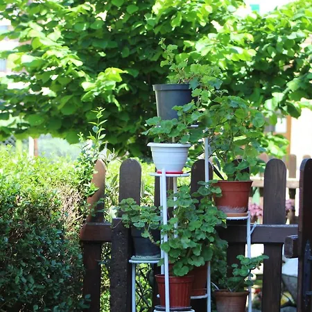 Bordo بيت ضيافة 2*