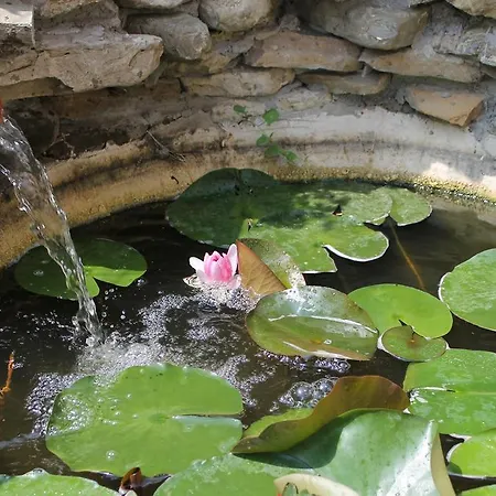 بيت ضيافة Bordo