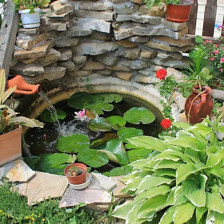 Bordo بيت ضيافة 2*