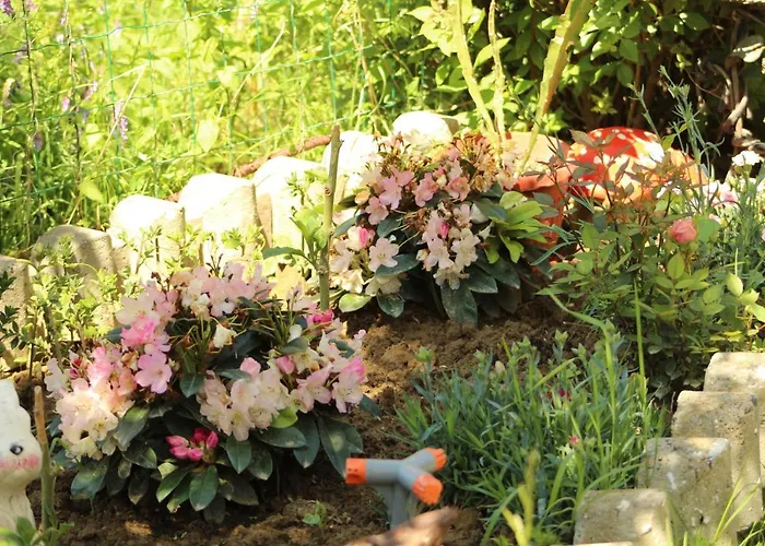 Vendégház Bordo 2*