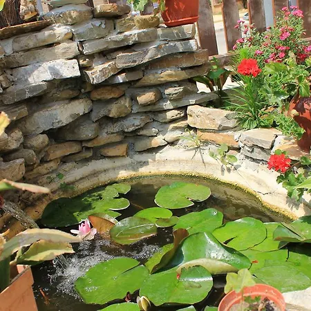 Guest house Bordo 2*